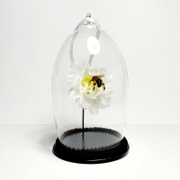 Natuur Historische Decoratie met 18k goud. Honingbij op orchidee